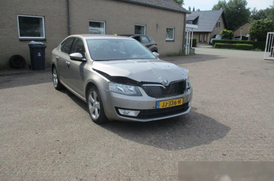 Skoda Octavia, 2016