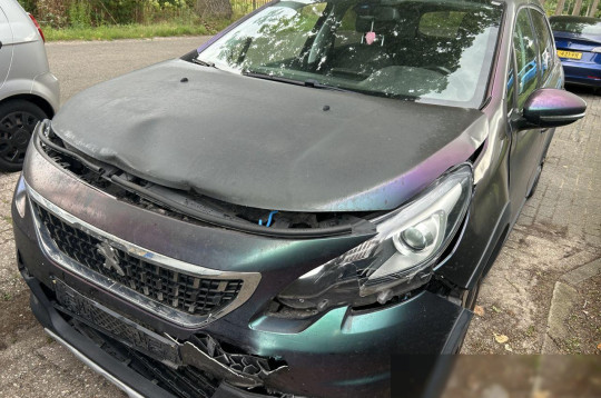 Peugeot, 2018