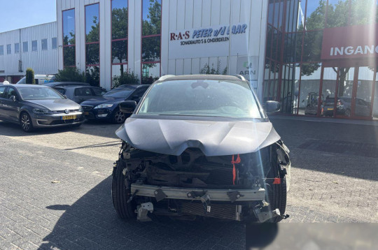 Renault Scenic, 2019