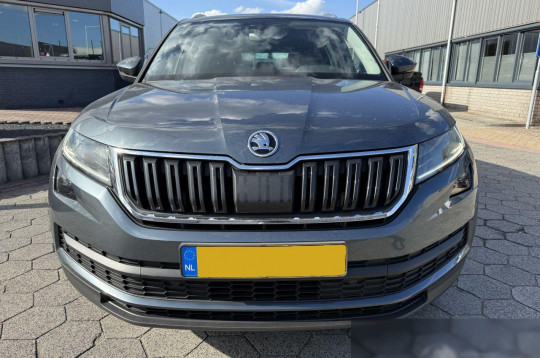 Skoda Kodiaq, 2017