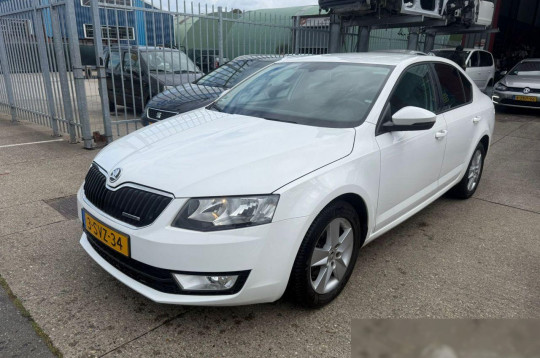 Skoda Octavia, 2013