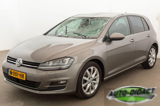 Volkswagen Golf, 2013